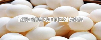 ​真鸡蛋跟假鸡蛋的区别 真鸡蛋与假鸡蛋有什么区别