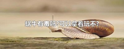 ​蜗牛有毒吗?可以拿着玩不?