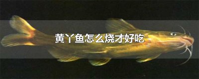 ​黄丫鱼怎么烧才好吃