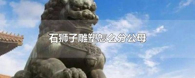 ​公狮子和母狮子长什么样 公狮子和母狮子图片大全
