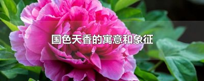 ​国色天香的寓意和象征