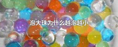 ​泡大珠变小了,怎么让它再次变大? 泡大珠怎么变小了