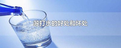 ​苏打水的好处和坏处