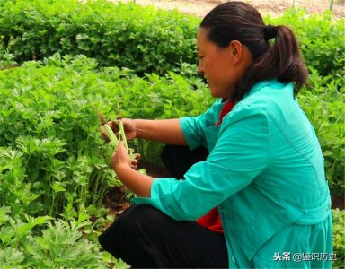 ​最好吃的不过是饺子下一句（俗语好吃不过饺子）