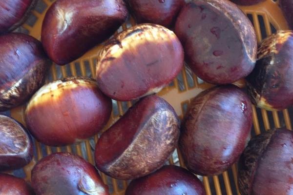 糖炒板栗冷了可以吃吗 最好吃热的