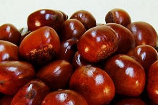 糖炒板栗冷了可以吃吗 最好吃热的