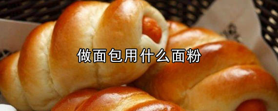 做面包用什么面粉 做面包怎么做又松又软
