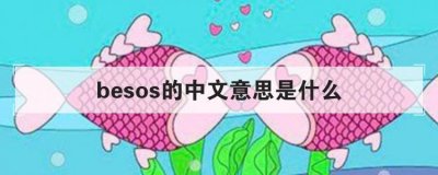 ​besos中文是什么意思（besos中文翻译）