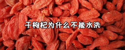​干枸杞为什么不能水洗 干枸杞变软了怎么办