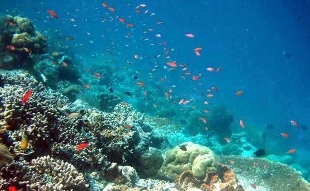 沙巴岛:世界顶级的潜水胜地,以及东南亚的第一高峰坐落于此。