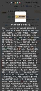 青山控股企查查简介