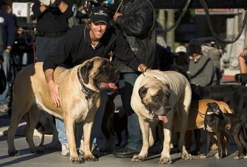迈克尔贝客串(迈克尔贝7大冷知识你知多少)(11)