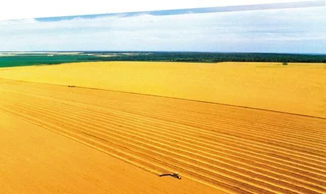 东北粮仓是哪个城市