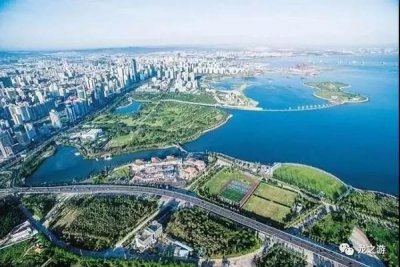 ​力特龙酒价格 力特药的作用