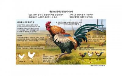 ​挽回死心前男友正确方法，挽回前男友的方法