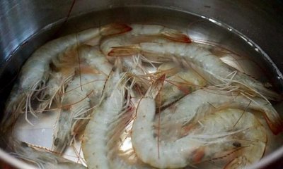 虾可以放冰箱保鲜多久,活虾放冰箱保鲜可以放多久不死