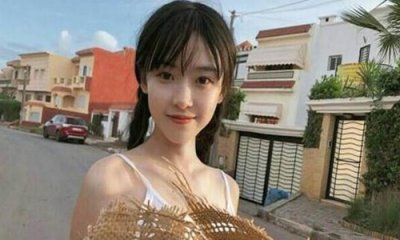 ​半藏森林是什么梗 和刘阳完整版1118视频事件深扒