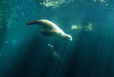 ​北京到芜湖自驾路线图北京到芜湖怎么走最快