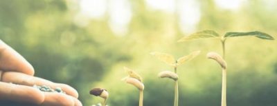 鸿星尔克运动鞋怎么样一鸣惊人：鸿星尔克为什么突然火了