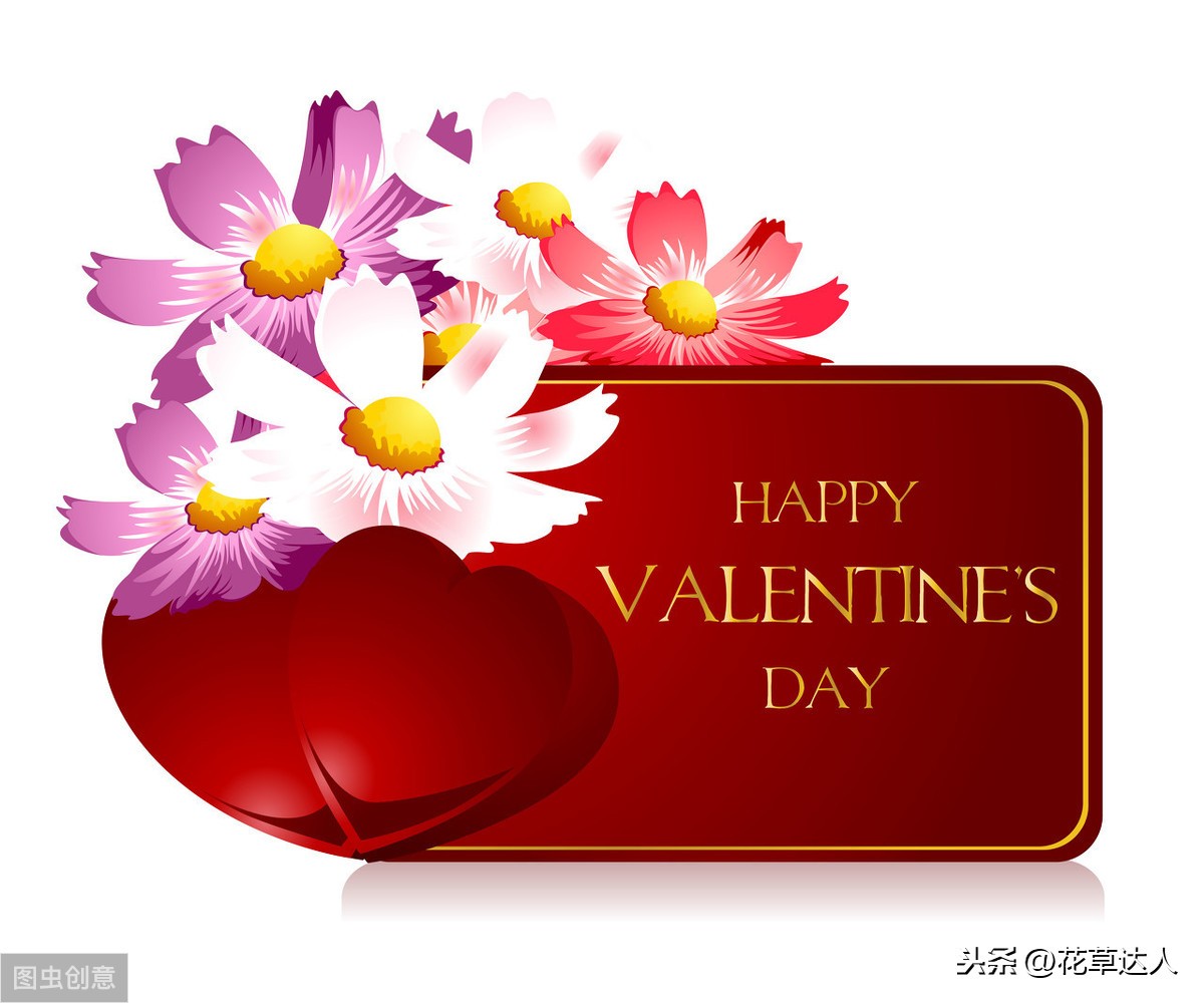 五朵玫瑰花代表什么意思（不同数量玫瑰的含义）