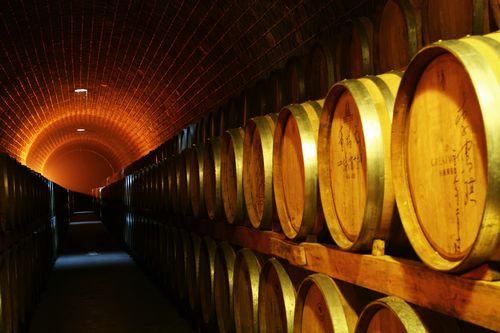 昌黎红酒加工厂