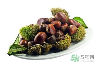 板栗可以泡酒吗?板栗泡酒的做法大全