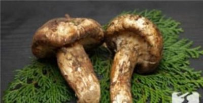 ​红酒过期十年了还能喝吗？红酒过了保质期十年还能喝吗？