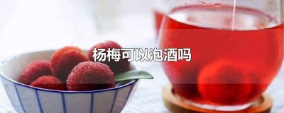 ​杨梅可以泡酒吗泡多久 杨梅可以泡酒吗有毒吗