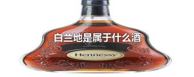 ​白兰地是属于什么酒