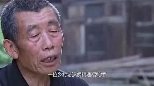 农村老人精通招蛇术,打坐念咒画圈圈,毒蛇立刻纷涌而来