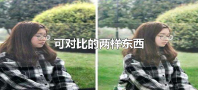 可对比的两样东西（可对比的两样东西有哪些）