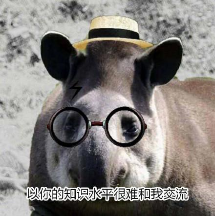 10个狗头表情包(一组貘mó的表情包)(6)