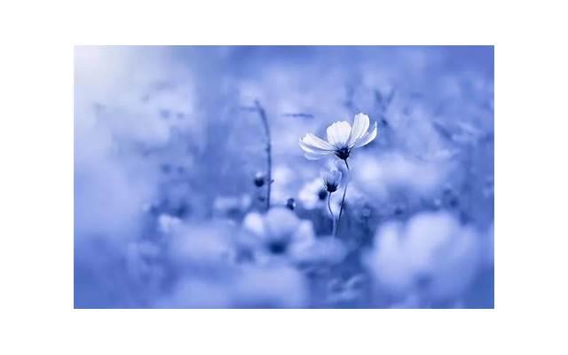 男生接吻时喜欢伸舌头是为什么(男朋友开始搂腰了说明什么) 男生接吻时喜欢伸舌头是为什么(男朋友开始搂腰了说明什么)