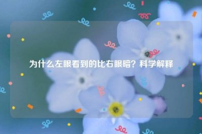 ​为什么左眼看到的比右眼暗？科学解释